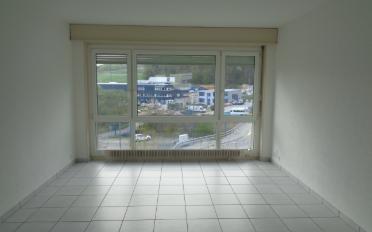 Appartement 4.5 pièces - image - 4