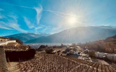 Villa 4.5 pièces - image - 2