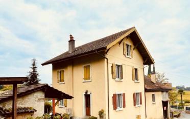 Single house 6 rooms - image - 3