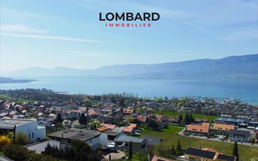 Building land - image - 5