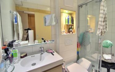 Terrace flat 1.5 rooms - image - 4