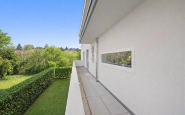 Duplex 6.5 Zimmer - image - 8