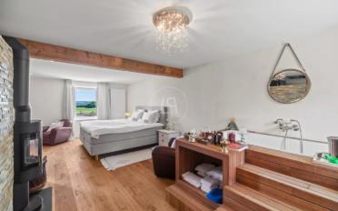 Single house 10 rooms - image - 9