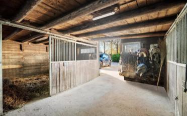 Single house 10 rooms - image - 10