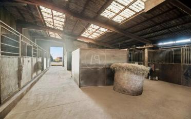 Single house 10 rooms - image - 12