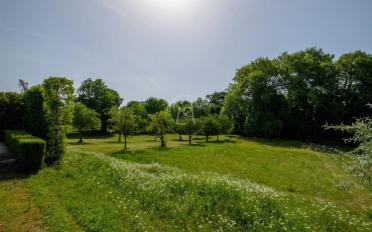 Château 15 pièces - image - 6