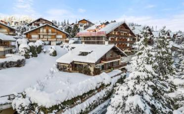 Chalet 9 pièces - image - 3
