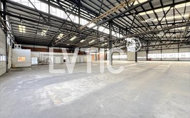 Storage room - image - 4