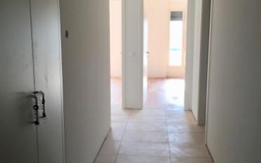 Wohnung 3.5 Zimmer - image - 2