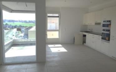 Wohnung 3.5 Zimmer - image - 7