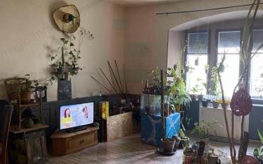 Mixed use property 3.5 rooms - image - 1