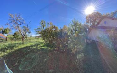 Einfamilienhaus 5 Zimmer - image - 5