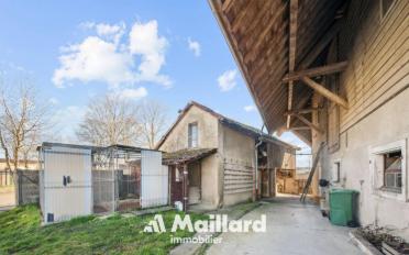 Single house 3 rooms - image - 5