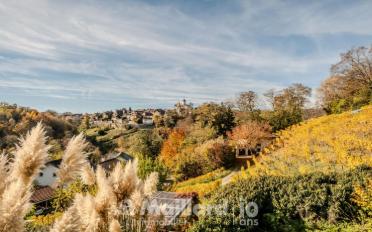 Single house 11 rooms - image - 5