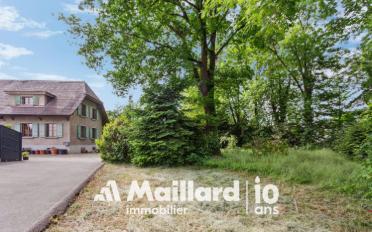 Building land - image - 1