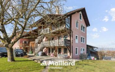 Wohnung 2.5 Zimmer - image - 1