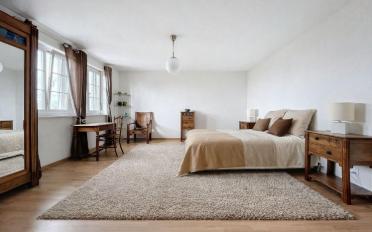 Single house 9.5 rooms - image - 11