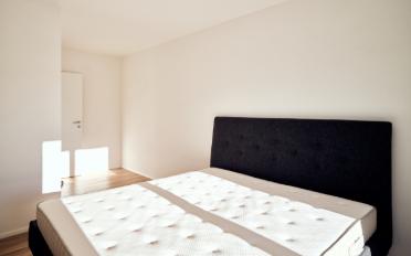 Apartment 2.5 rooms - image - 5