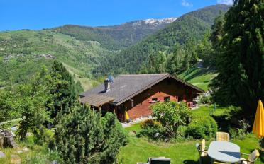 Chalet 7 Zimmer - image - 2