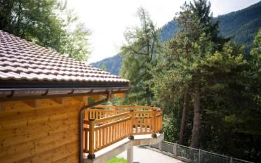 Chalet 6.5 pièces - image - 2