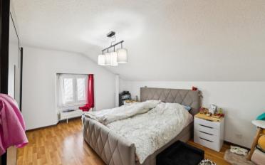 Gemischt genutzte Immobilie 12.5 Zimmer - image - 12