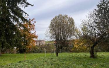 Building land - image - 1