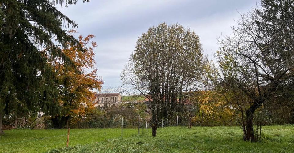 Fontenais
