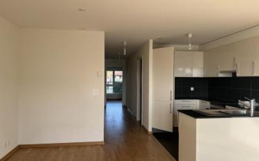 Wohnung 2.5 Zimmer - image - 1