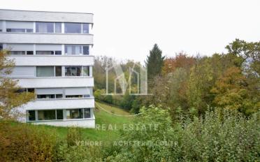Wohnung 3.5 Zimmer - image - 1