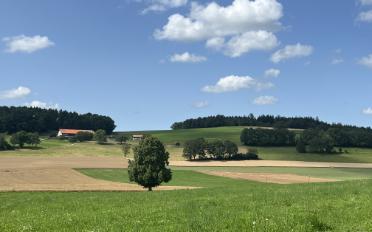 Einfamilienhaus 6.5 Zimmer - image - 8