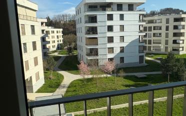 Apartment 3.5 rooms - image - 7