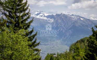 Chalet 4.5 pièces - image - 10