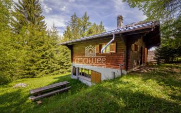 Chalet 4.5 pièces - image - 12