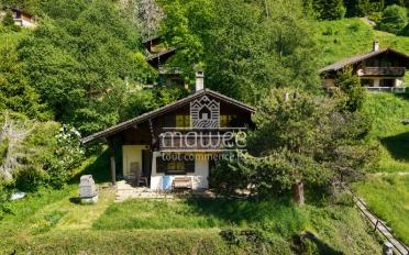 Chalet 4.5 pièces - image - 1