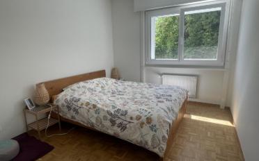 Apartment 2.5 rooms - image - 3