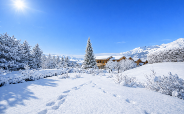 Chalet 9 Zimmer - image - 2