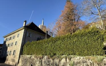 Wohnung 3.5 Zimmer - image - 3