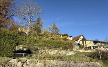 Wohnung 3.5 Zimmer - image - 4