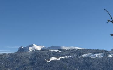 Villa 5.5 pièces - image - 11