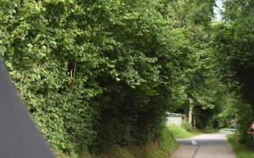 Maison terrasse 5.5 pièces - image - 10