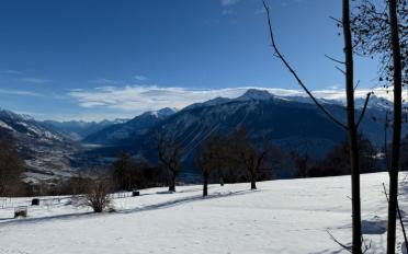 Appartement terrasse 5.5 pièces - image - 2