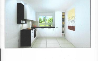 Terrace flat 2.5 rooms - image - 3