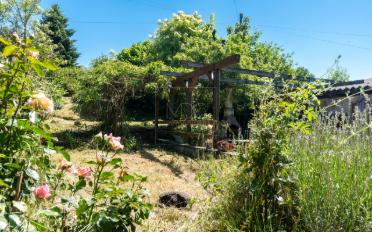 Einfamilienhaus 5 Zimmer - image - 11