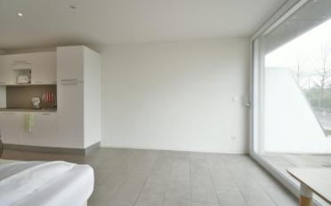 Studio 1.5 pièces - image - 2