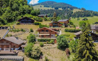 Chalet 5.5 Zimmer - image - 3