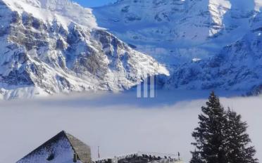Hotel - image - 2