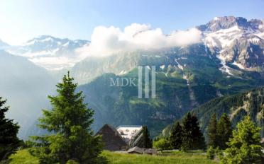 Hotel - image - 9