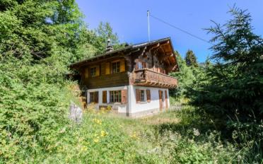 Chalet 4.5 Zimmer - image - 12
