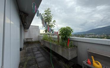 Wohnung 4.5 Zimmer - image - 13