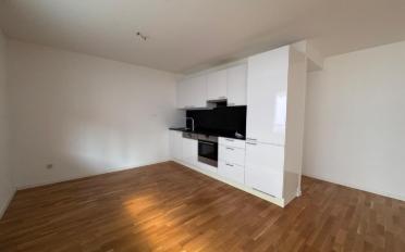 Wohnung 4.5 Zimmer - image - 1